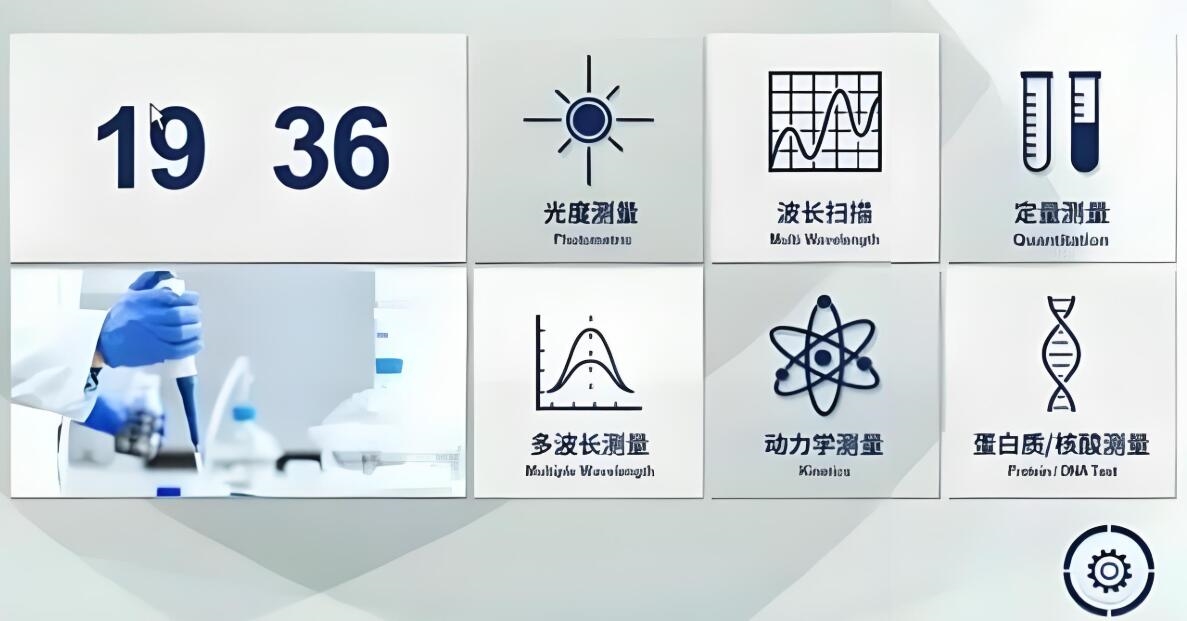 仪器主要测试界面